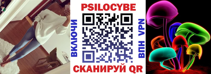 Псилоцибиновые грибы Cubensis Пошехонье