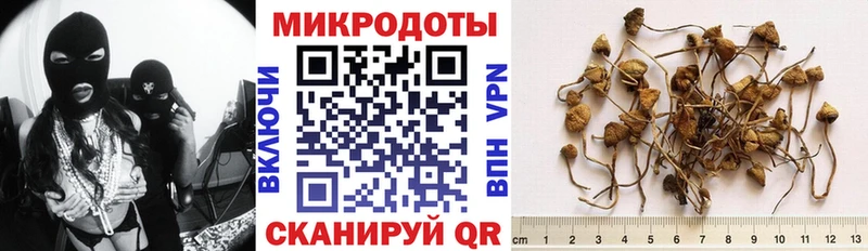 Псилоцибиновые грибы мухоморы  Пошехонье 